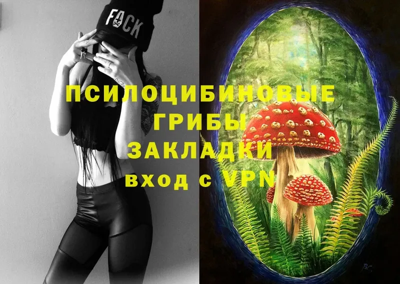 где найти наркотики  Карачаевск  Псилоцибиновые грибы Magic Shrooms 